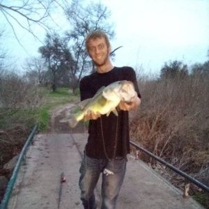 Meet your Posher, Hard wood